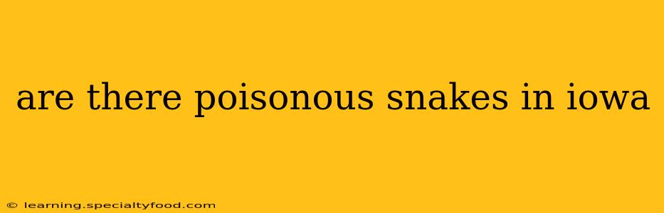 are there poisonous snakes in iowa