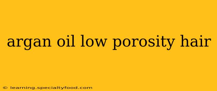 argan oil low porosity hair