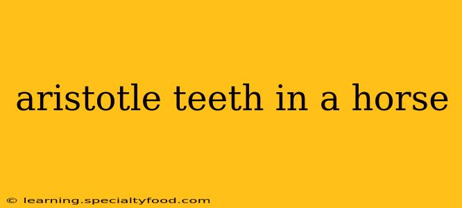 aristotle teeth in a horse