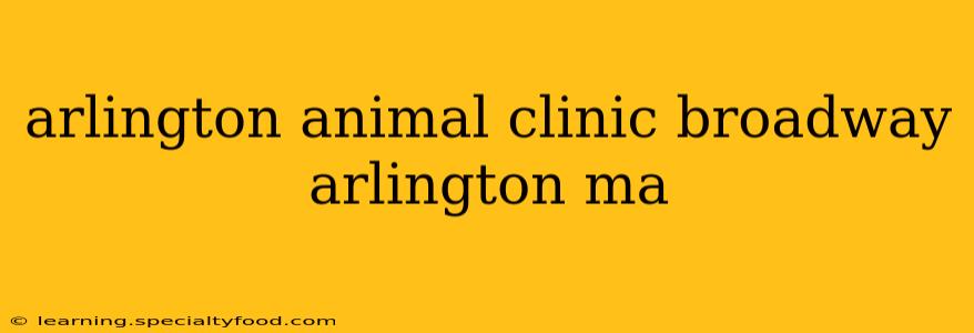 arlington animal clinic broadway arlington ma