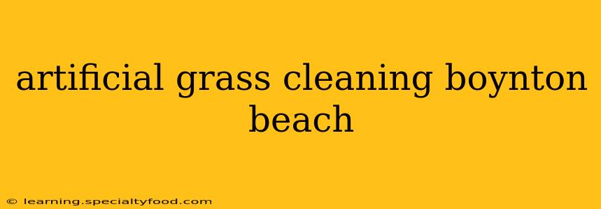 artificial grass cleaning boynton beach