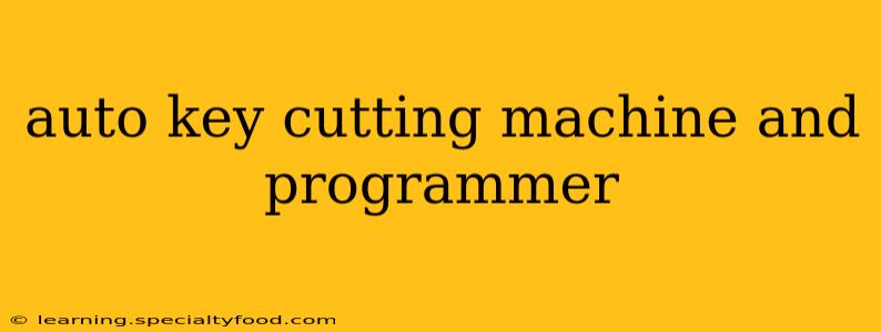 auto key cutting machine and programmer