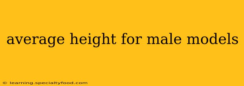 average height for male models