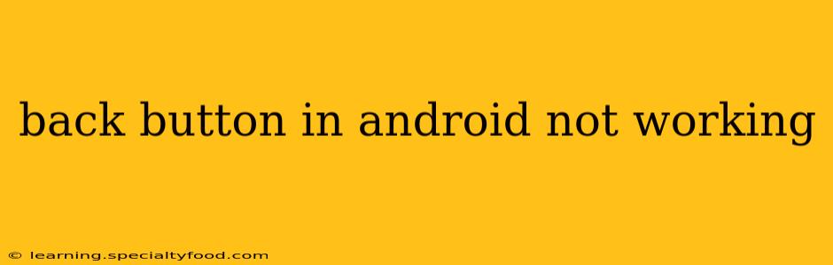 back button in android not working