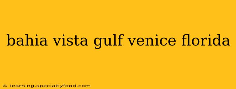 bahia vista gulf venice florida