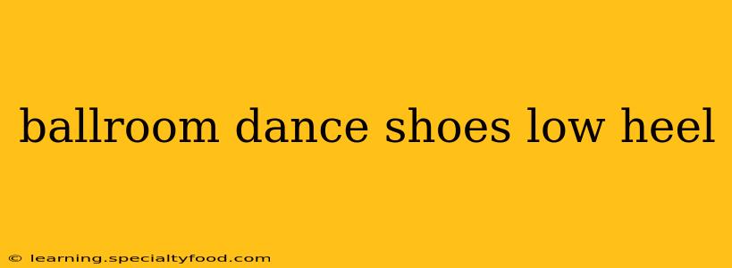 ballroom dance shoes low heel