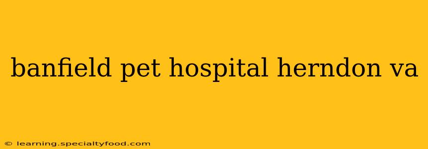 banfield pet hospital herndon va