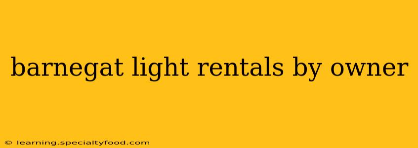 barnegat light rentals by owner