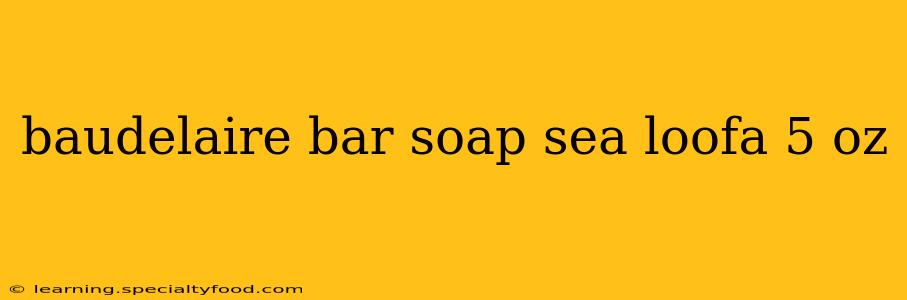baudelaire bar soap sea loofa 5 oz