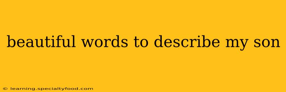 beautiful words to describe my son
