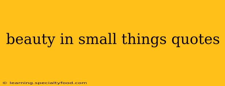 beauty in small things quotes