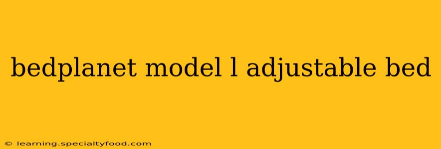 bedplanet model l adjustable bed