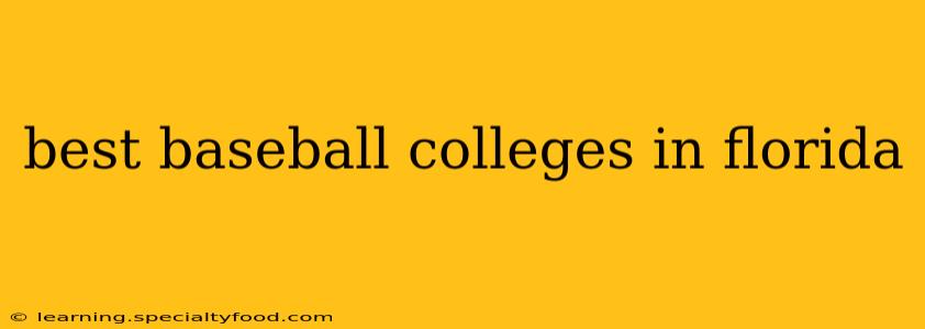 best baseball colleges in florida
