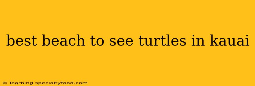 best beach to see turtles in kauai