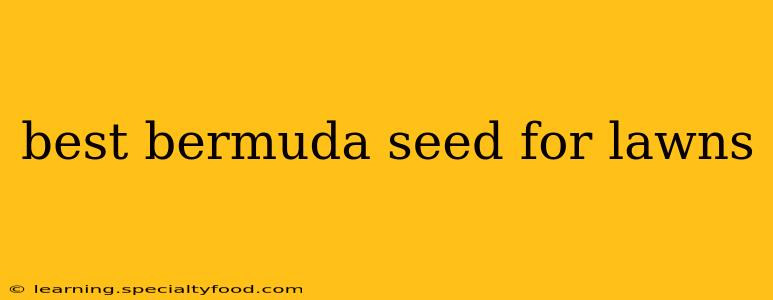best bermuda seed for lawns