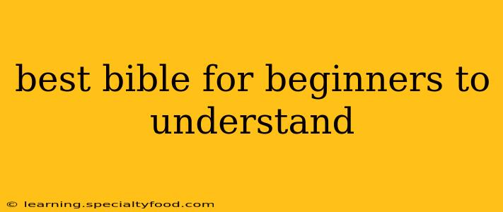 best bible for beginners to understand