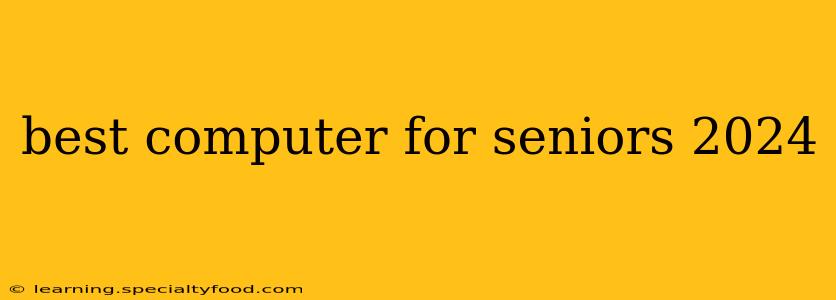 best computer for seniors 2024