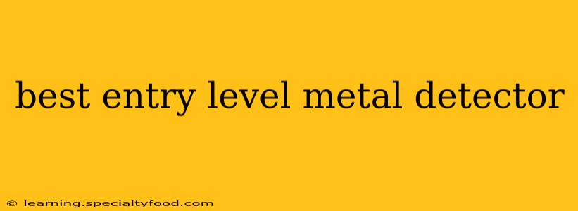 best entry level metal detector