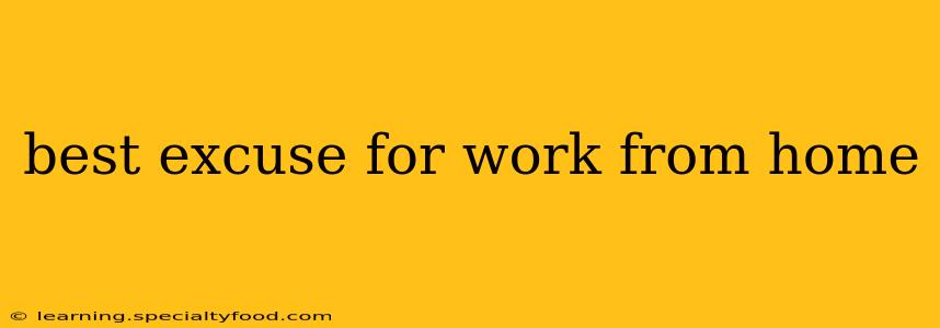 best excuse for work from home