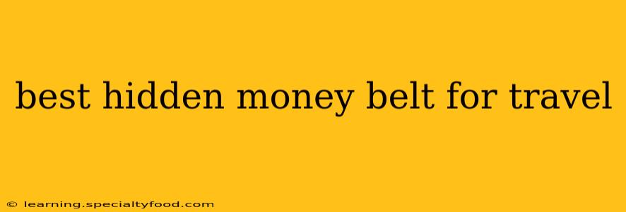 best hidden money belt for travel