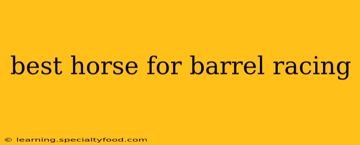 best horse for barrel racing