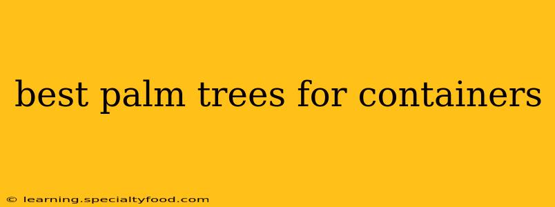 best palm trees for containers
