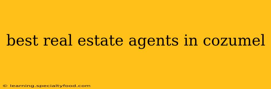 best real estate agents in cozumel