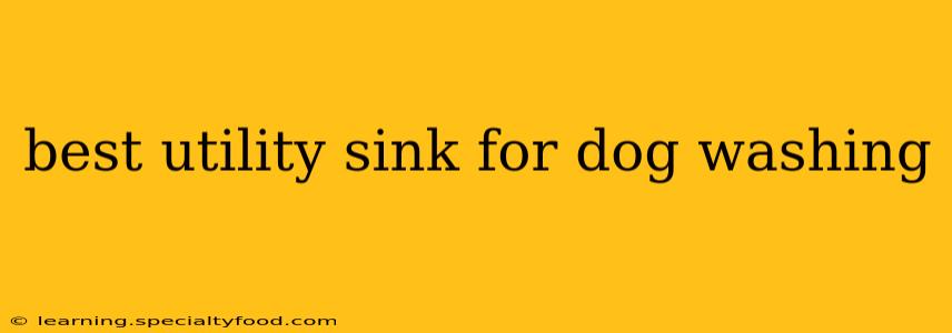 best utility sink for dog washing