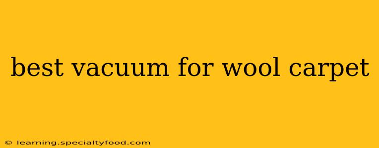 best vacuum for wool carpet