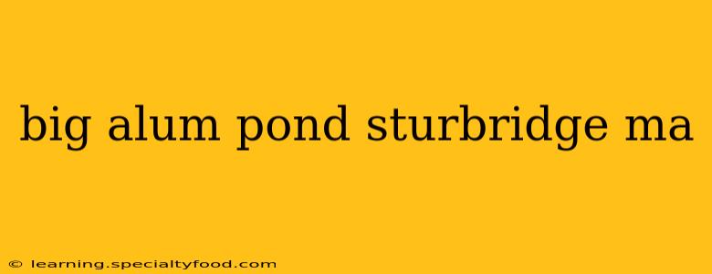 big alum pond sturbridge ma