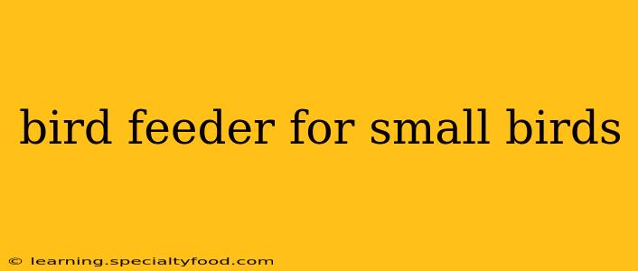 bird feeder for small birds