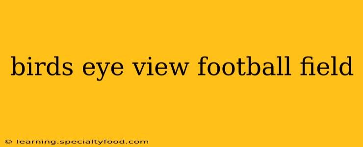 birds eye view football field