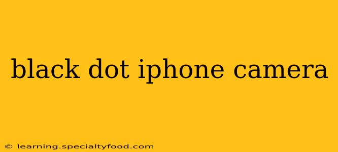 black dot iphone camera