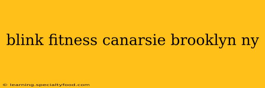 blink fitness canarsie brooklyn ny