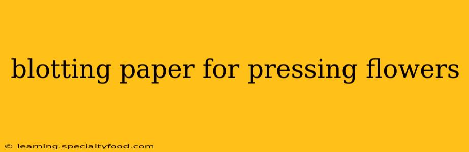 blotting paper for pressing flowers