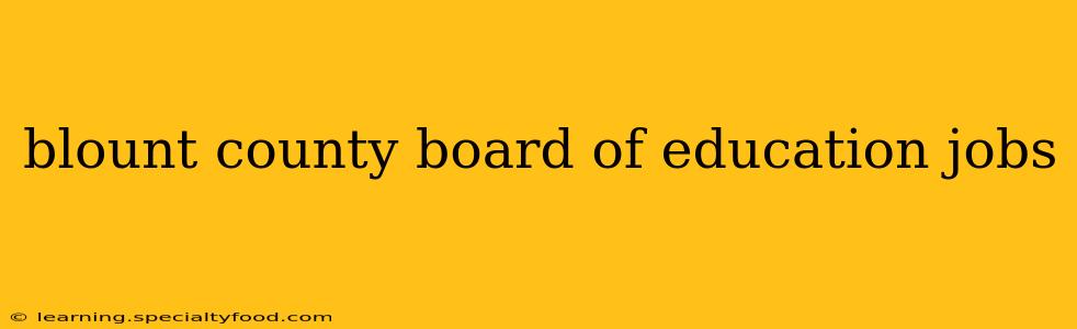 blount county board of education jobs