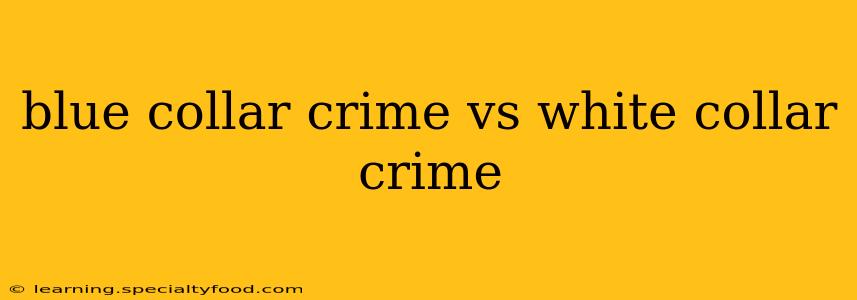 blue collar crime vs white collar crime