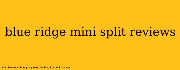 blue ridge mini split reviews