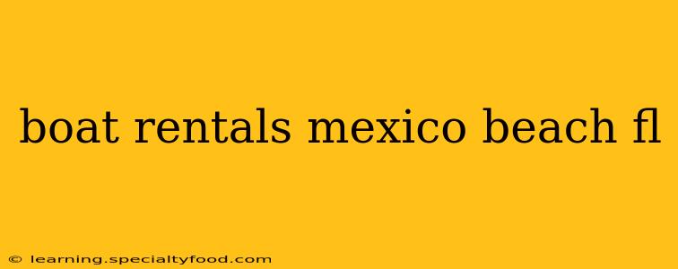 boat rentals mexico beach fl