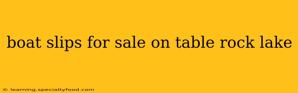 boat slips for sale on table rock lake