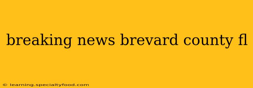 breaking news brevard county fl