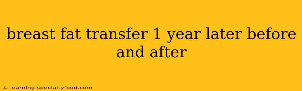 breast fat transfer 1 year later before and after