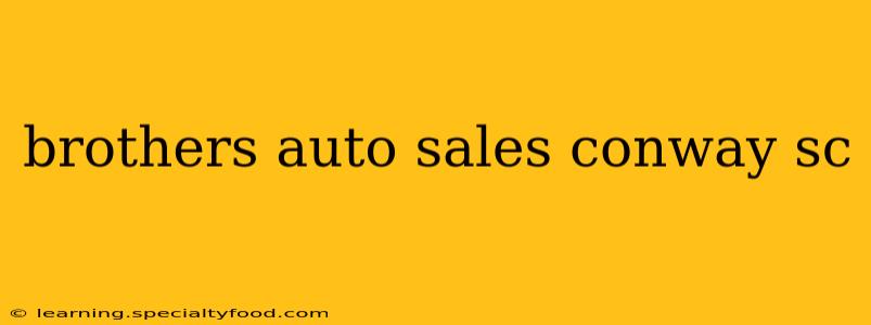 brothers auto sales conway sc