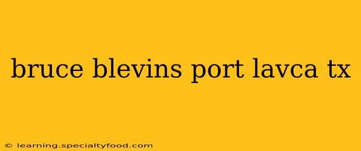 bruce blevins port lavca tx