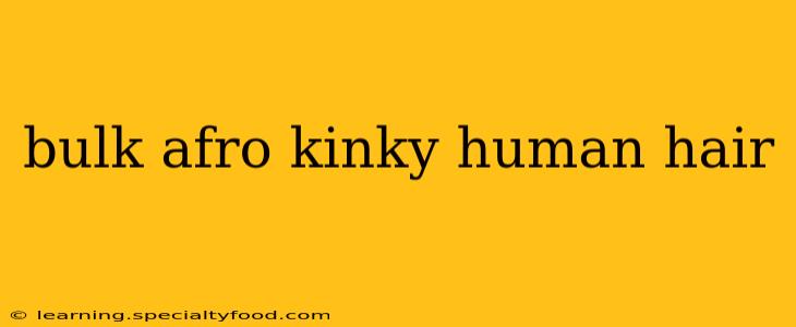 bulk afro kinky human hair