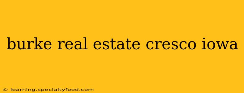 burke real estate cresco iowa