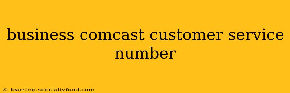 business comcast customer service number