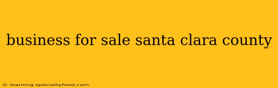business for sale santa clara county