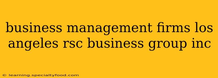 business management firms los angeles rsc business group inc