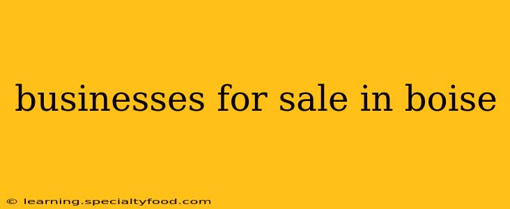 businesses for sale in boise